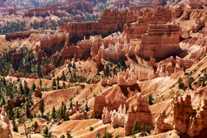USA Bryce Canyon<br>NIKON D4, 58 mm, 160 ISO,  1/320 sec,  f : 8 , Distance : 20 m